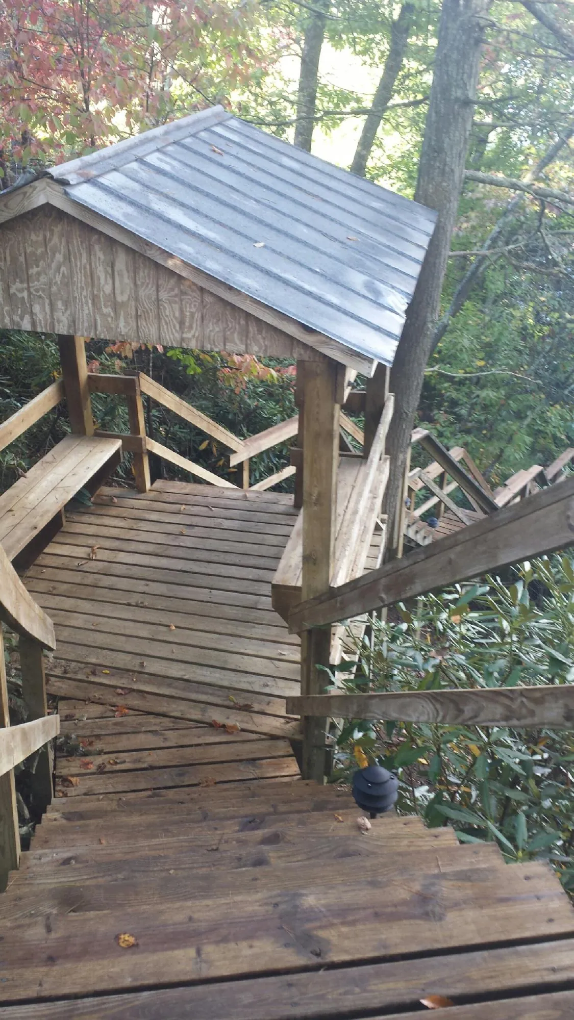 Metal roofed shelter over wooden steps on a wooded walkway — Skylight Repair & Installation work by our crew in Roundup