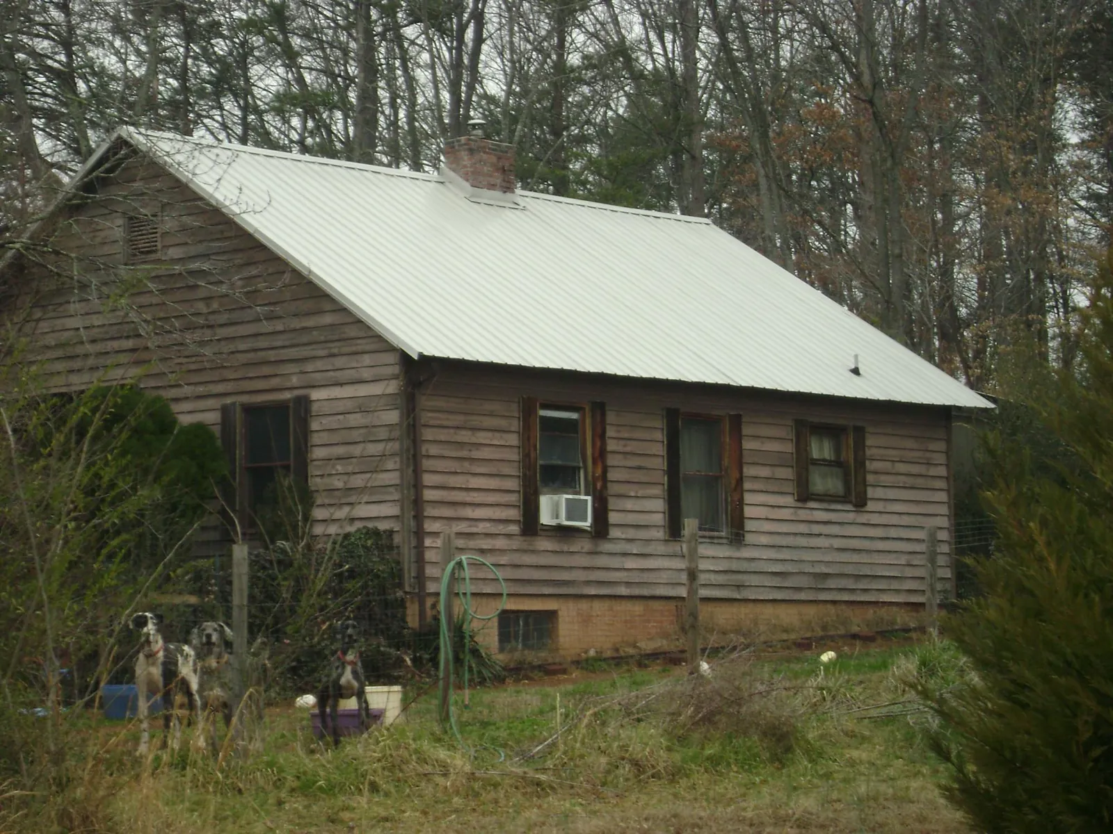White metal roof on an old wood sided farmhouse, from a Asphalt Shingle Roof Repair job in Roundup